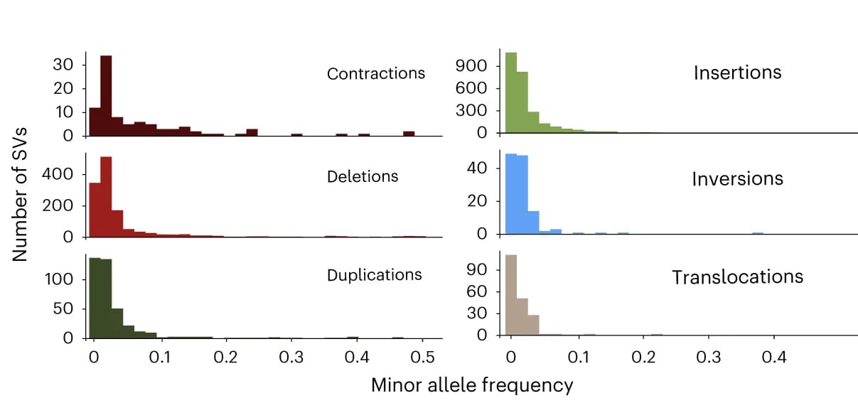 Open access visualization of Histogram, Allele Frequency, SV, Strains