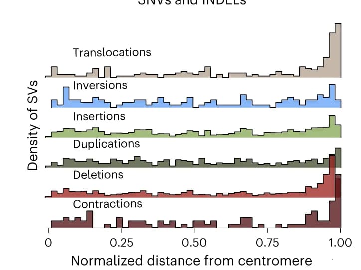 Open access visualization of Line Step, Density Plot, Centromeres, Telomeres, Relative Positions