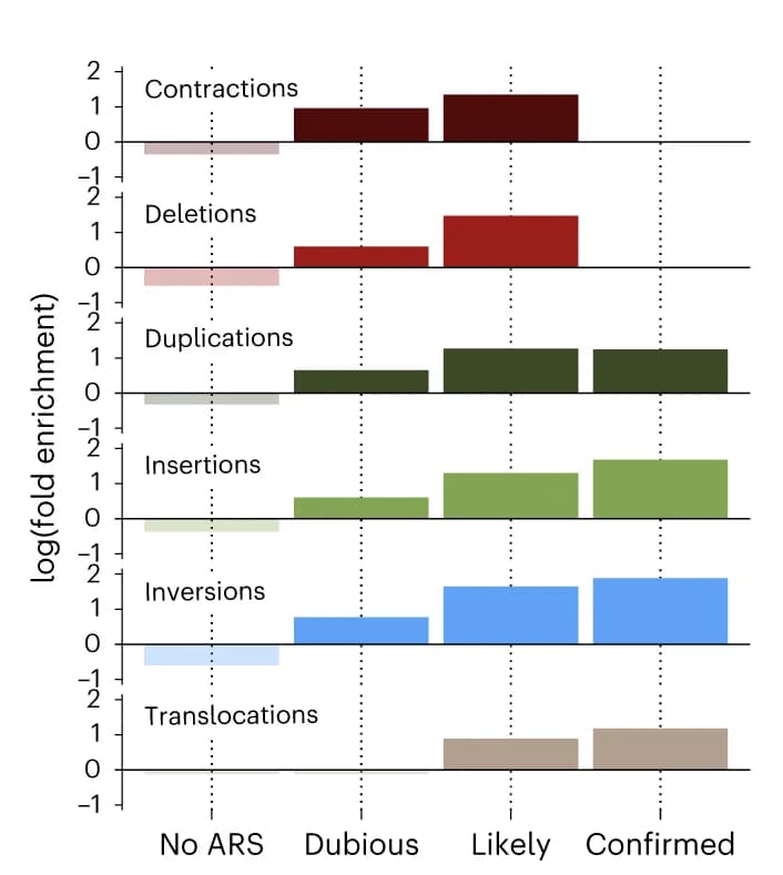 Open access visualization of Bar Plot, Fold Enrichments, Breakpoints, ARS