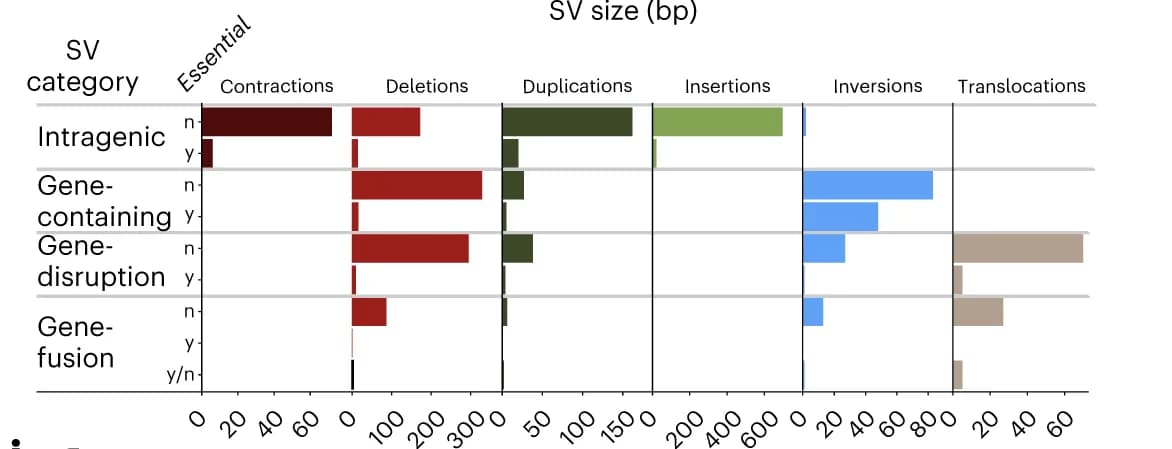 Open access visualization of Bar Plot, Intragenic, SV, Genes, Gene Disruption