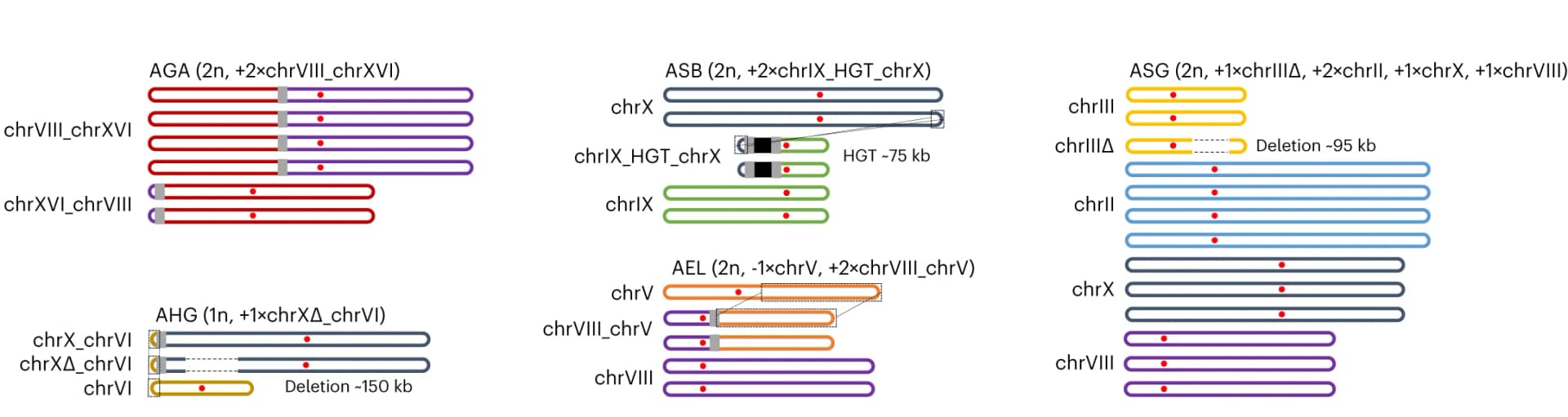 Open access visualization of Illustration, Chromosomal Composition, Complex Aneuploidies, Centromeres, Translocation Breakpoints