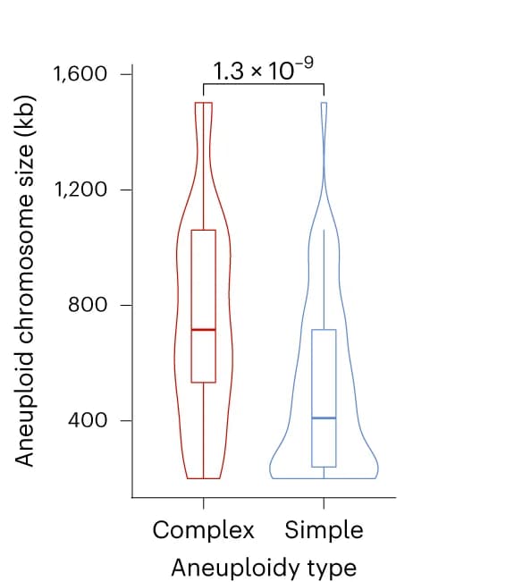 Open access visualization of Violin Plot, Box Plot, Chromosome Size, Complex Aneuploidies, Simple Aneuploidies