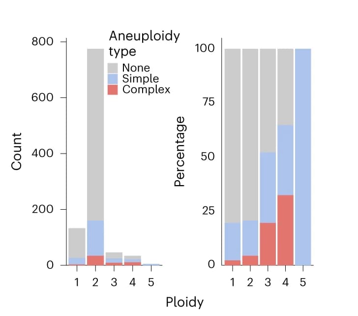 Open access visualization of Stacked Bar Plot, Euploid, Simple Aneuploid, Complex Aneuploid, Strains