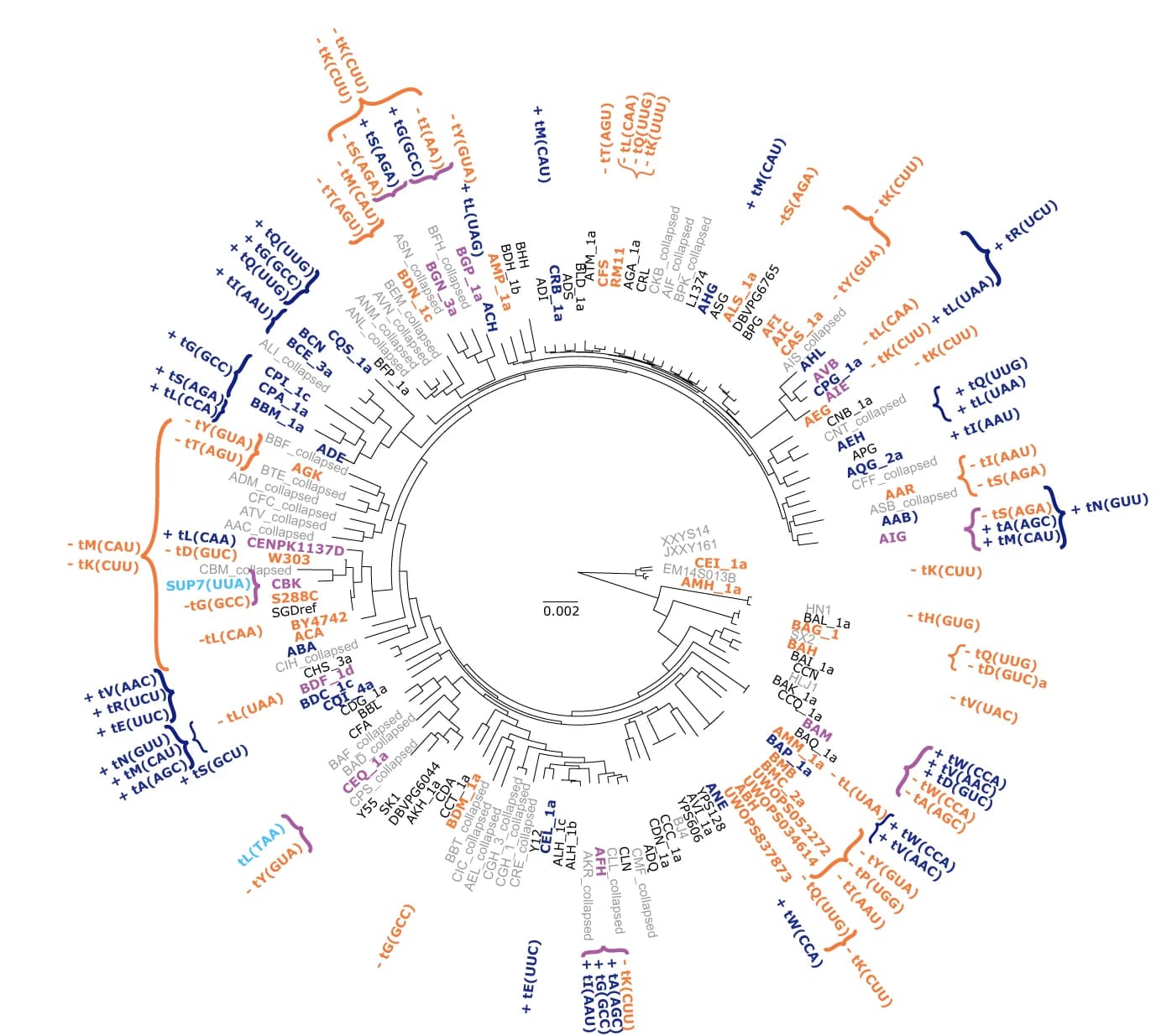 Open access visualization of Network, Pathway, Tree Topology, tRNA Gene, Gene Gains