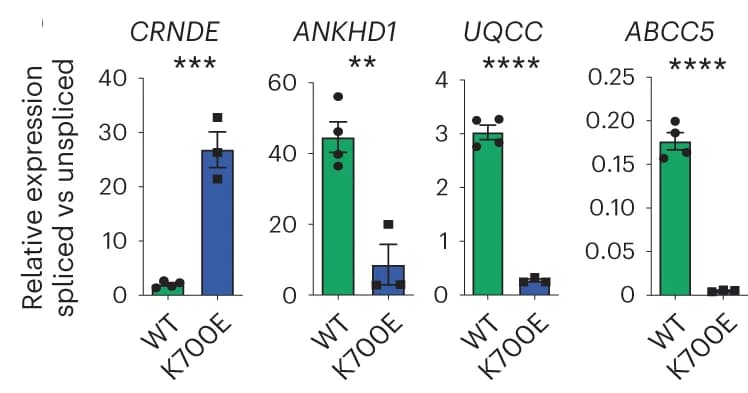 Open access visualization of Bar Plot, Error Bars, qRT-PCR, Spliced Exons, Indicator Genes