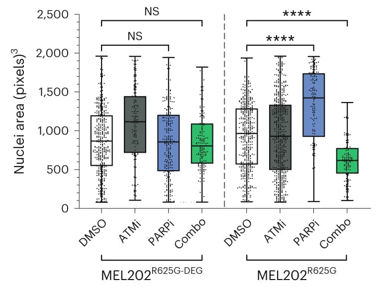 Open access visualization of Box Plot, Scatter Plot, Nuclear Area