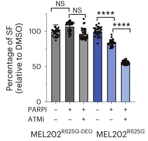 Open access visualization of Bar Plot, Error Bars, Column Bar Graph, Relative Survival, MEL202 Isogenic Cells