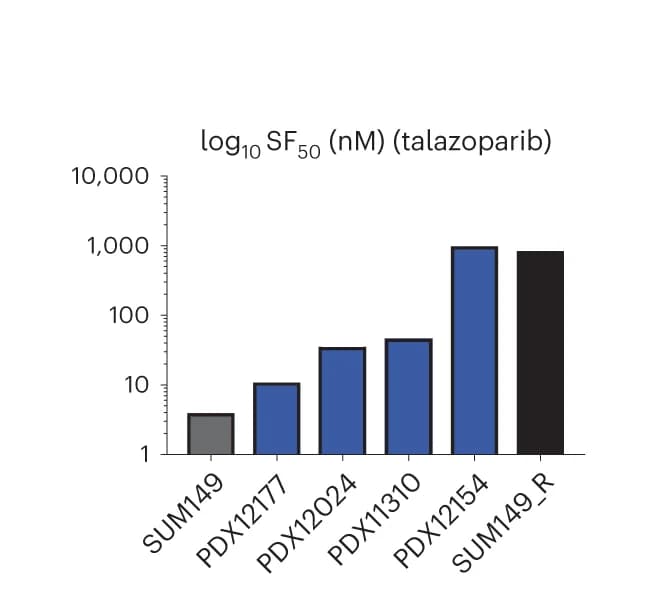 Open access visualization of Bar Plot, Tumor Volume, Talazoparib Treatment, NSG-nude Mice, SF3B1 WT Patient-Derived Xenograft Tumors