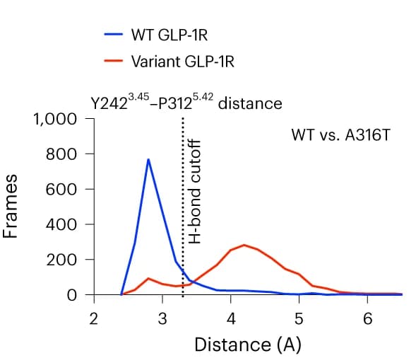 Open access visualization of Line Plot, Density Plot, Molecular Dynamics Simulations, GLP-1R WT, A316T
