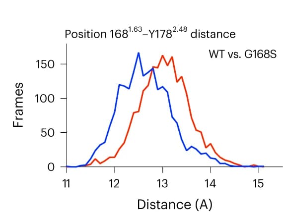 Open access visualization of Line Plot, Density Plot, Molecular Dynamics Simulations, GLP-1R WT, G168S