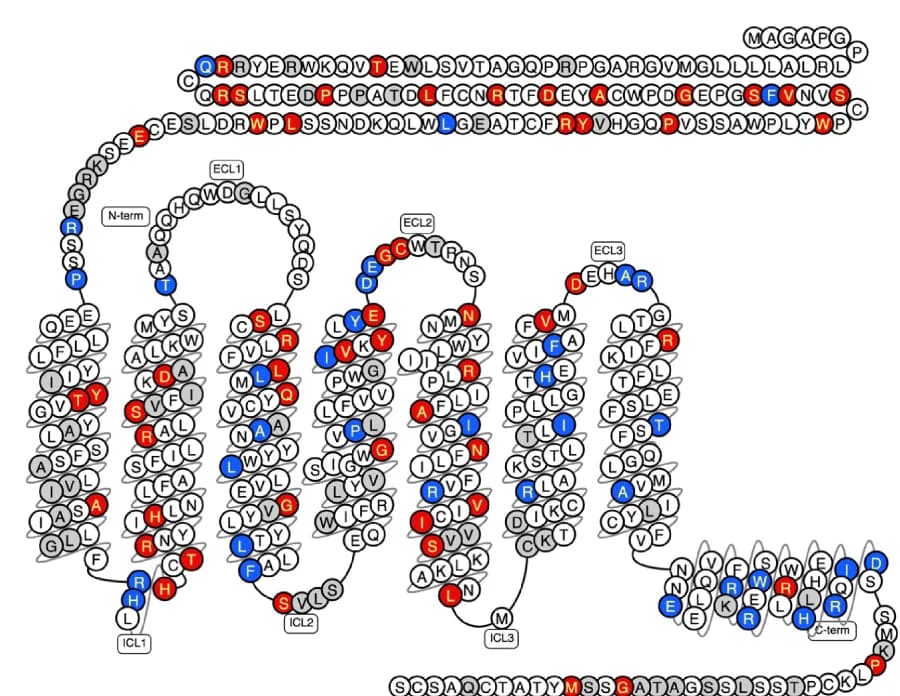 Open access visualization of Illustration, Chemical Structure, GLP-1R, Snake Plot, Missense Variants