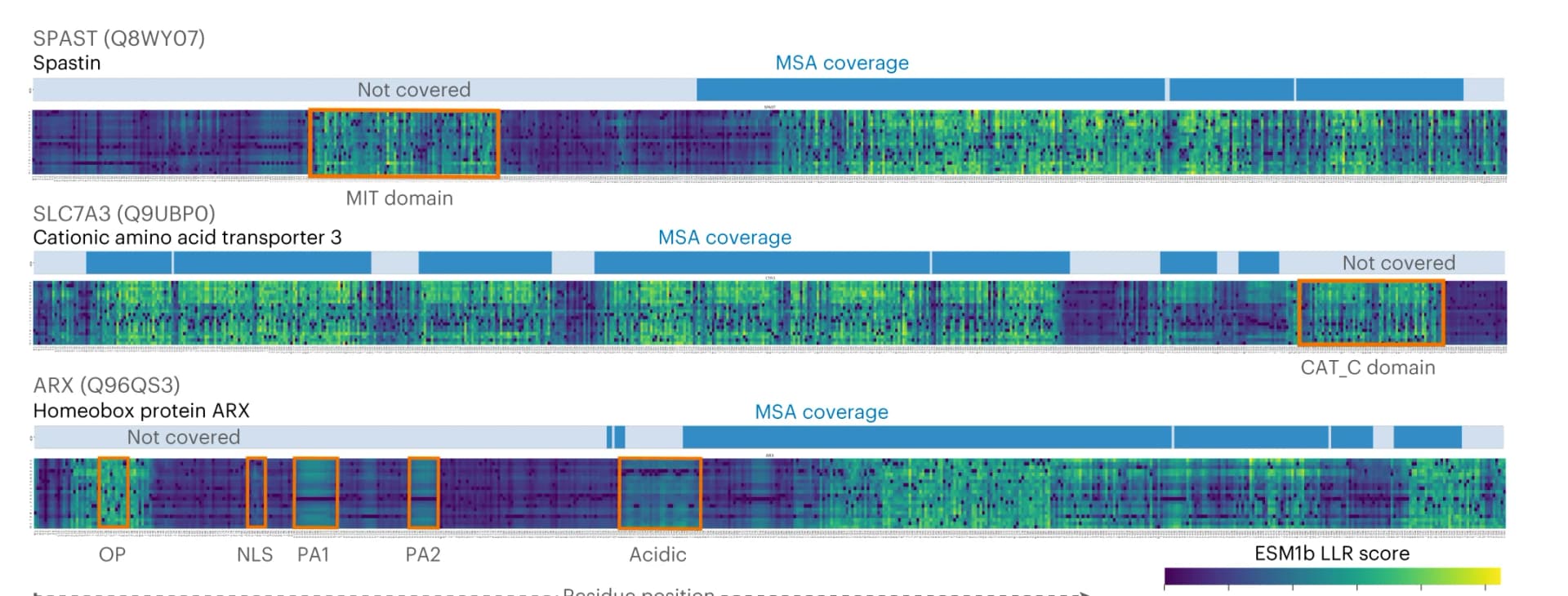Open access visualization of Heatmap, Protein Domains, Functional Regions, MSA Coverage, Human Proteins