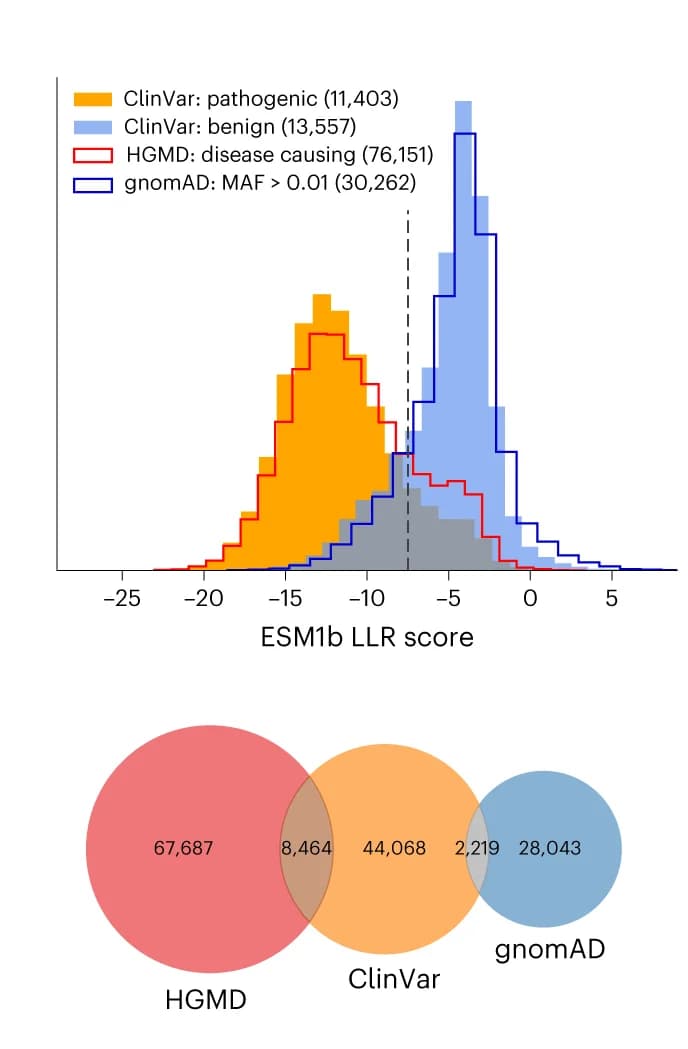 Open access visualization of Histogram, Venn Diagram, ESM1b effect scores, Variants, Pathogenic
