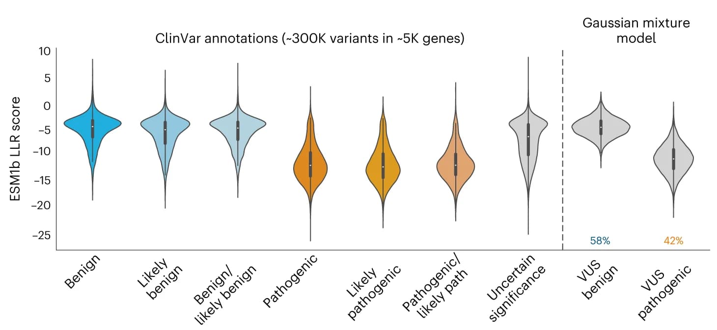 Open access visualization of Violin Plot, ESM1b effect scores, ClinVar labels, Gaussian components, Missense variants