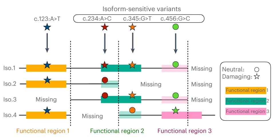 Open access visualization of Illustration, Workflow, Variants, Isoform
