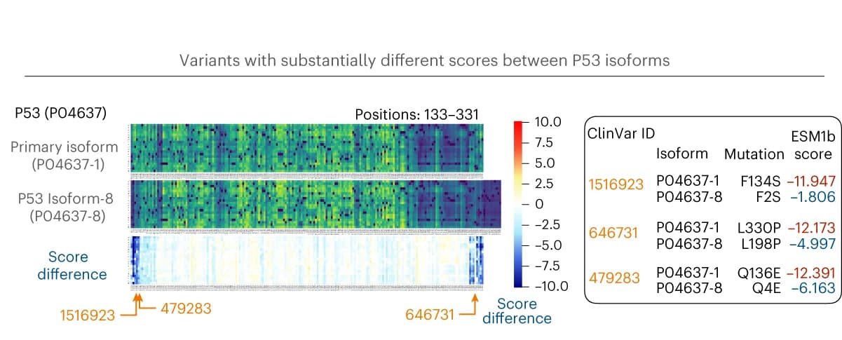 Open access visualization of Heatmap, Isoforms, P53, Variants