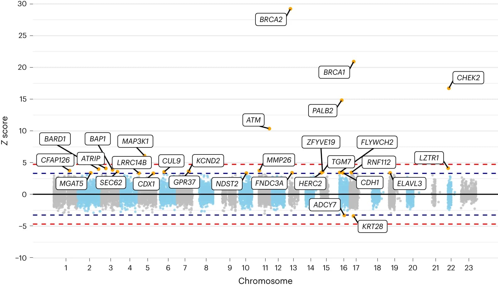 Open access visualization of Manhattan Plot, Scatter Plot, Chromosomal Position, Meta-analyzed Z Score, UK Biobank