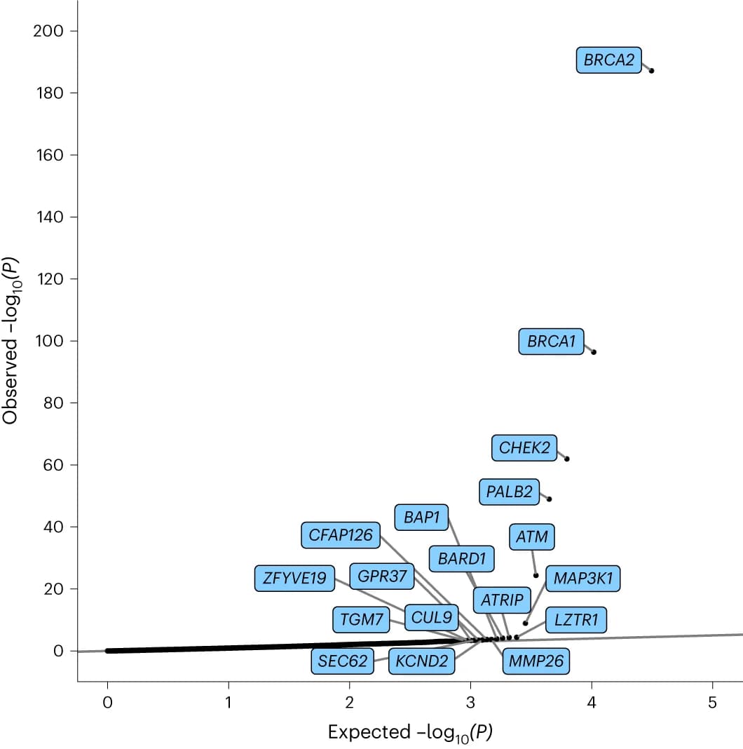 Open access visualization of Scatter Plot, P-value, Z-score, UKB dataset, BCAC dataset