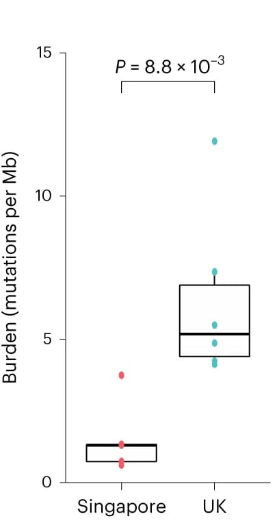 Open access visualization of Box Plot, Scatter Plot, Mutation Burden, Genome-wide, Tukey Box Plot