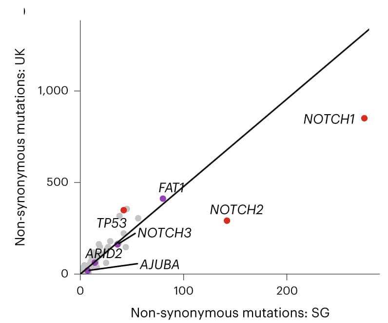 Open access visualization of Scatter Plot, Non-synonymous mutations, Gene, Singapore, UK samples