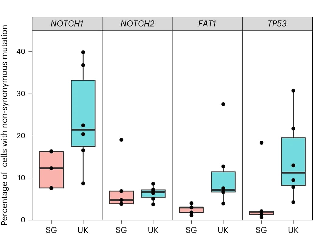 Open access visualization of Box Plot, Scatter Plot, Cells, Non-synonymous mutation, Positively selected gene