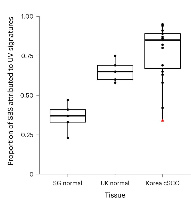 Open access visualization of Box Plot, Scatter Plot, Substitutions, UV Radiation Signatures, Tissue