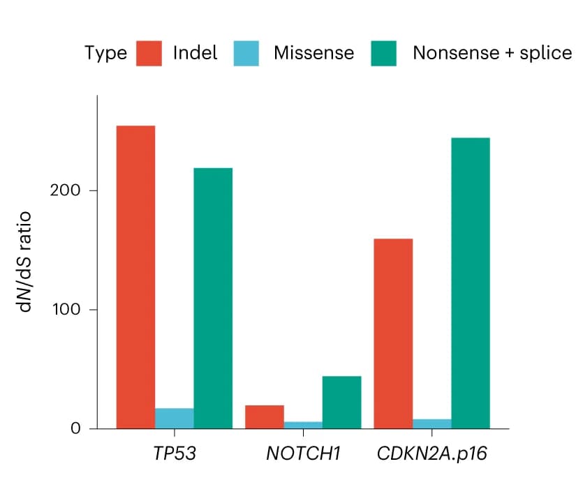 Open access visualization of Bar Plot, Clustered, Non-synonymous Mutations, Positively Selected Genes, dNdScv