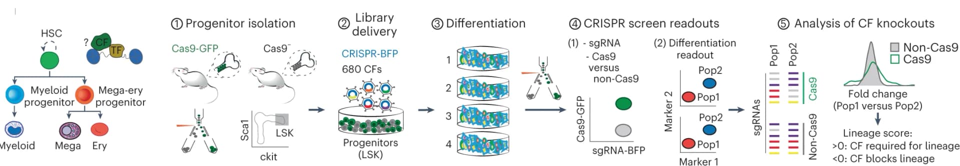 Open access visualization of Workflow, Illustration, Scatter Plot, Line Plot, Density Plot
