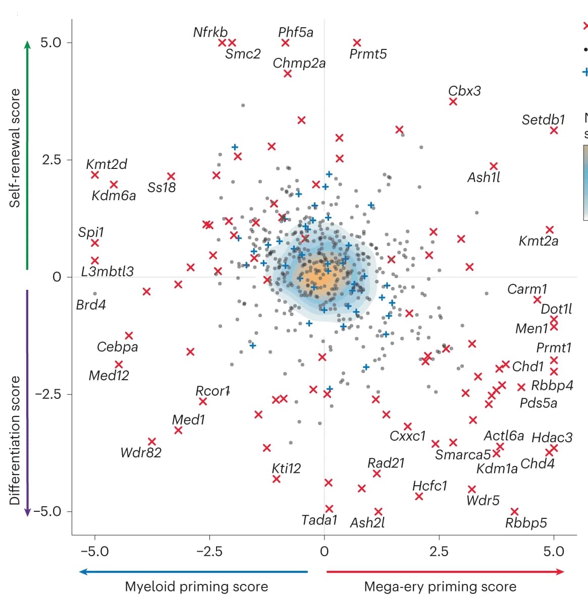 Open access visualization of Scatter Plot, Density Plot, Lineage Score, Cell Differentiation, Self-Renewal