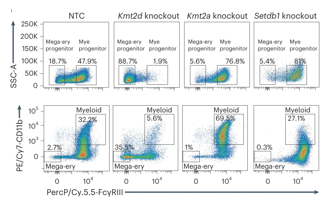 Open access visualization of Scatter Plot, Immunophenotype, Chromatin Factors, Lineage Priming, Myeloid Differentiation