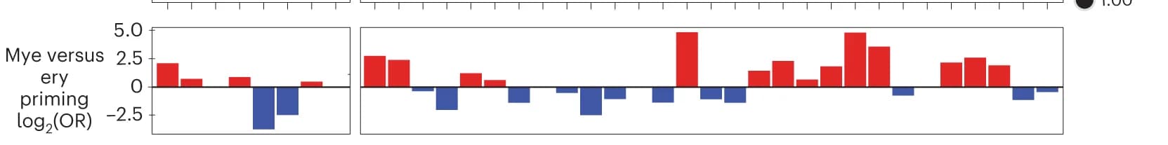 Open access visualization of Bar Plot, Chromatin Factor Knockouts, Myeloid Priming, Erythroid Priming
