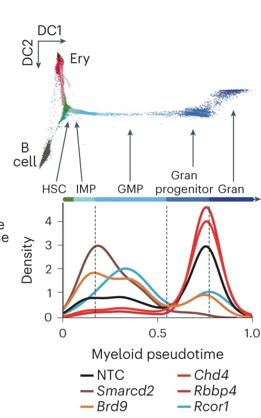 Open access visualization of Scatter Plot, Density Plot, Line Plot, Trajectory Analysis, Chromatin Factor Knockouts