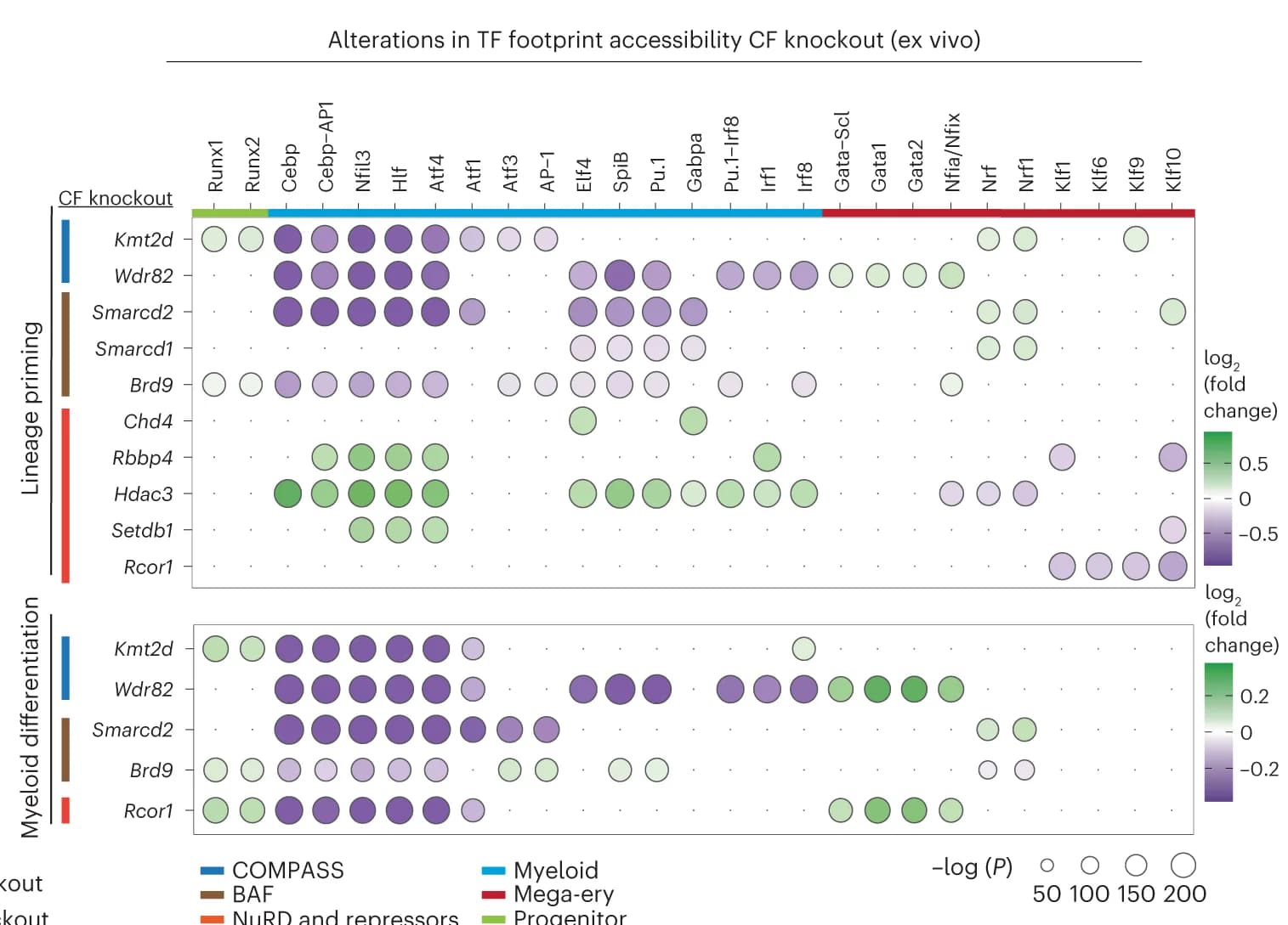 Open access visualization of Bubble Plot, Heatmap, Chromatin Factor, Knockouts, Transcription Factor Motifs