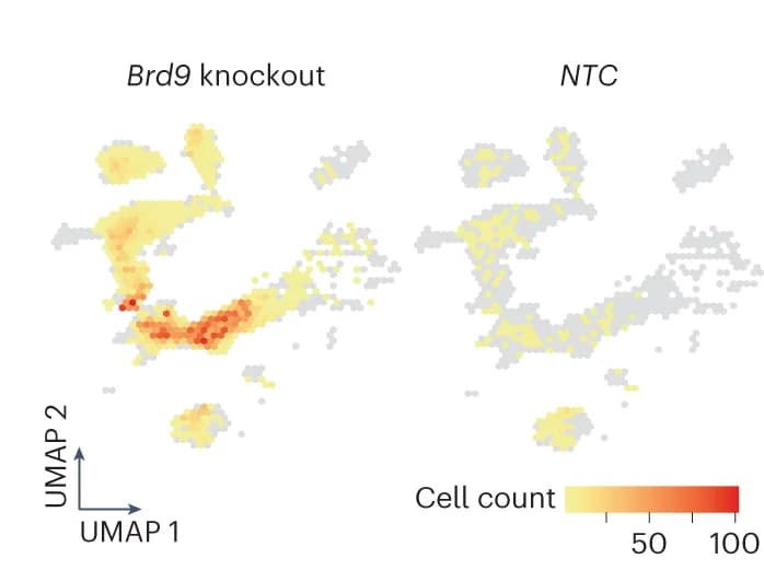 Open access visualization of UMAP, Brd9 Knockout, Control Cells, NTC sgRNA, Transplant