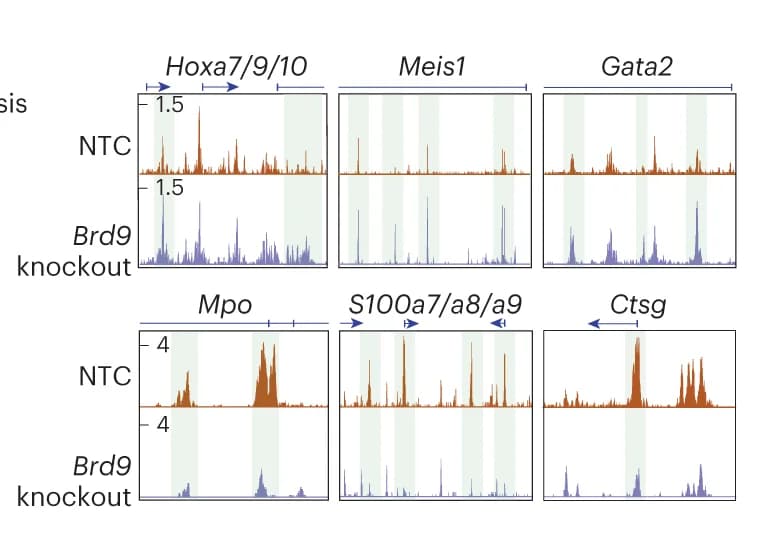Open access visualization of Line Plot, Density Plot, ATAC-seq Signal, Myeloid Progenitor, Differentiated Loci