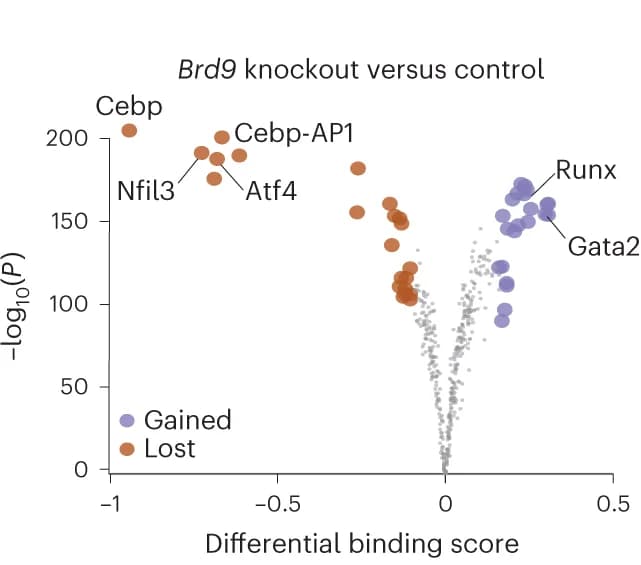 Open access visualization of Scatter Plot, Volcano Plot, Transcription Factor Motifs, TOBIAS, Control