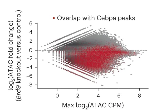Open access visualization of Scatter Plot, Volcano Plot, Accessibility Changes, Brd9 Knockout, Control