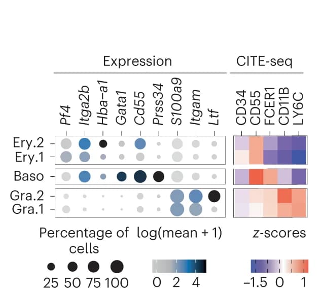 Open access visualization of Bubble Plot, Heatmap, mRNA, CITE-seq, Lineage markers