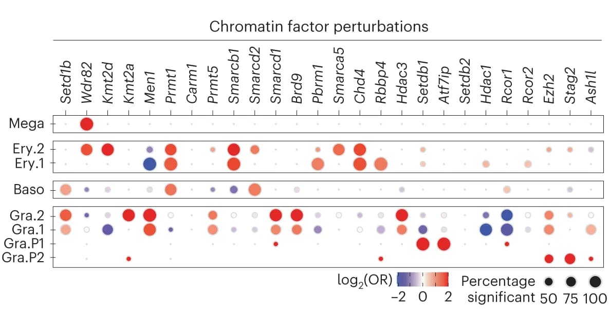 Open access visualization of Bubble Plot, Enrichment analyses, Chromatin factor knockouts, Differentiated leukemia subpopulations, sgRNAs