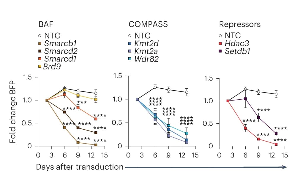Open access visualization of Line Plot, Error Bars, Growth curves, Leukemic chromatin factor knockouts, Blue Fluorescent Protein
