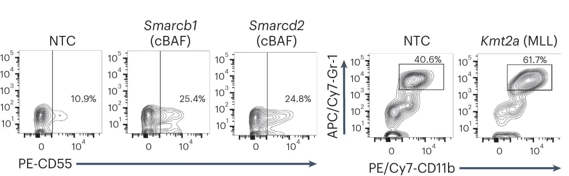 Open access visualization of Scatter Plot, FACS analysis, Mega-erythroid, CD55, Myeloid