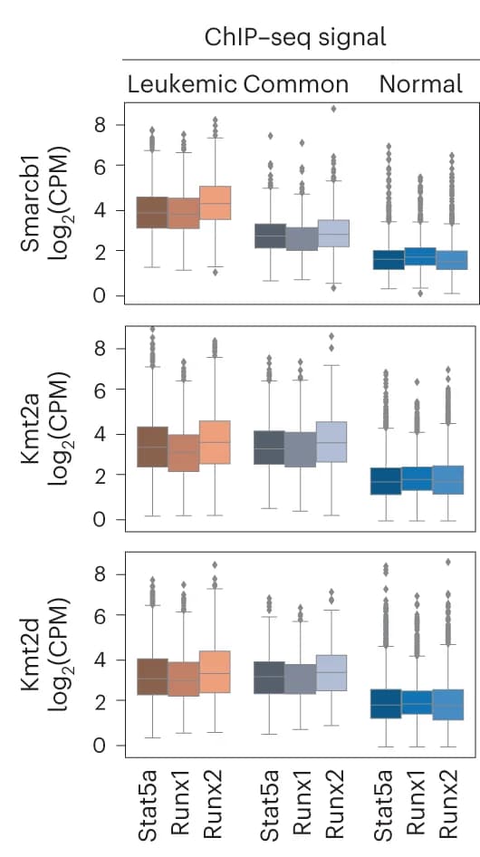 Open access visualization of Box Plot, Stat5a, Runx1, Runx2, ChIP-seq