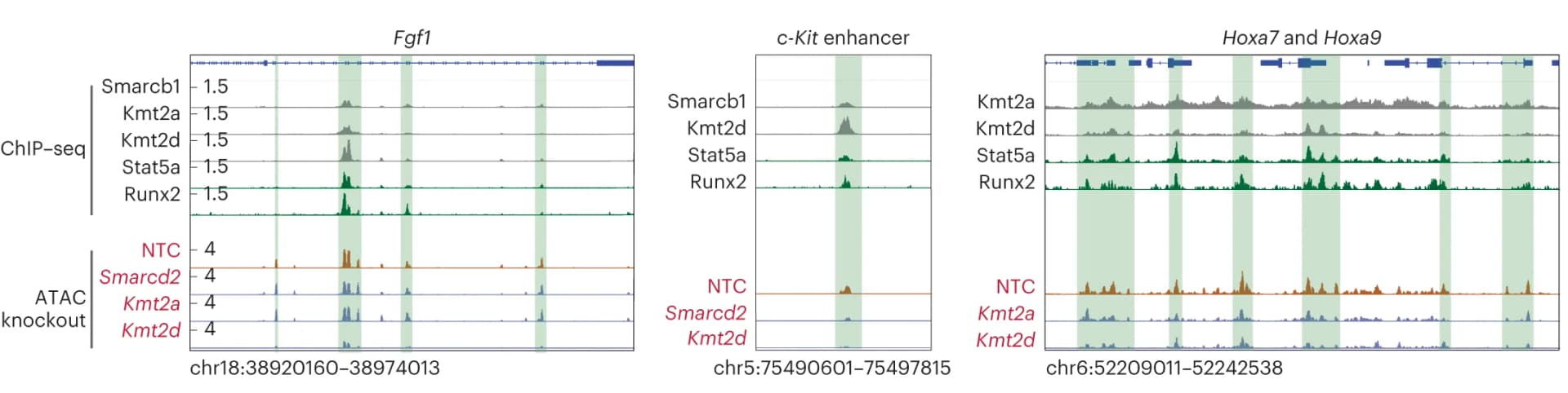 Open access visualization of Line Plot, Genome Browser Tracks, ChIP-seq, Smarcb1, Kmt2a