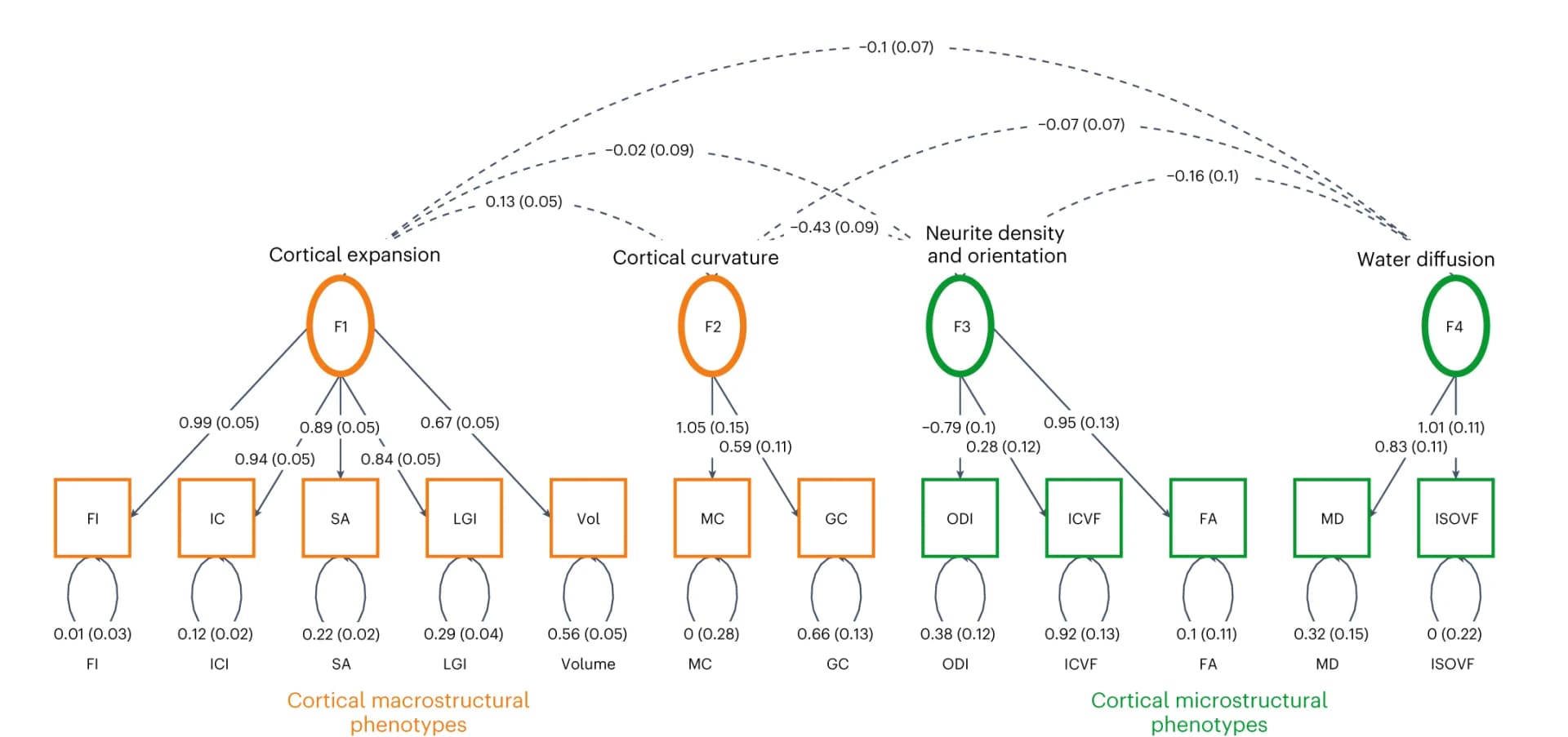 Open access visualization of Pathway, Network, Genomic SEM, Path diagram, Latent structure