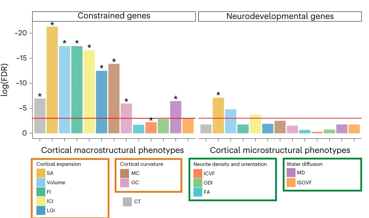 Open access visualization of Bar Plot, Error Bars, Enrichment Analyses, Constrained Genes, Neurodevelopmental Disorders