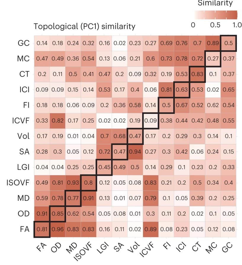 Open access visualization of Heatmap, Spatial Correlation, Principal Component Analysis, Genetic Similarity, Phenotypic Similarity