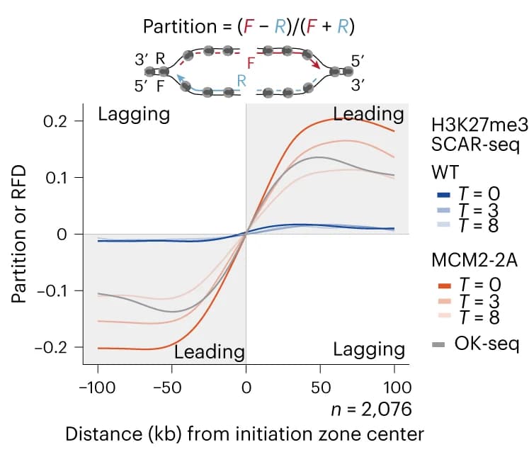 Open access visualization of Line Plot, SCAR-seq Profiles, H3K27me3, Replication Initiation Zones, Replication Fork Directionality