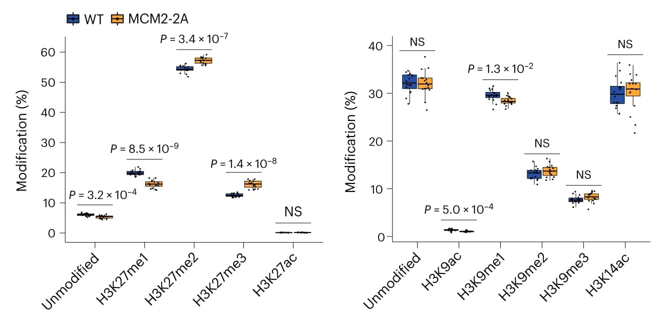 Open access visualization of Box Plot, Scatter Plot, Histone PTM, Mass Spectrometry, Biological Replicates