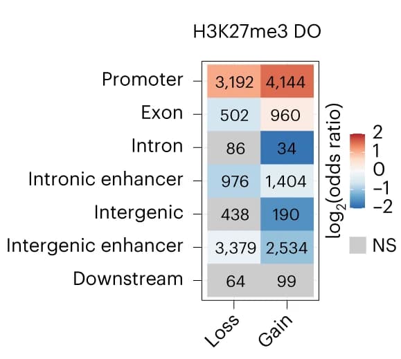 Open access visualization of Heatmap, Enrichment Analysis, Odds Ratios, H3K27me3, Differential Occupancy