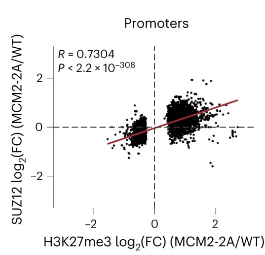 Open access visualization of Scatter Plot, Regression Plot, H3K27me3, SUZ12, Differential Occupancy